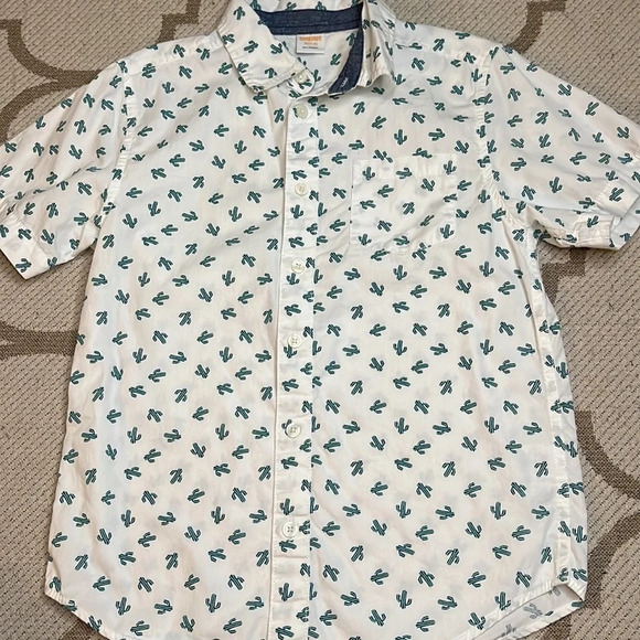 (Bundle) Zara shorts, Gymboree short sleeve, peek shorts, Boys size 7, 3 pieces - Picture 11 of 14